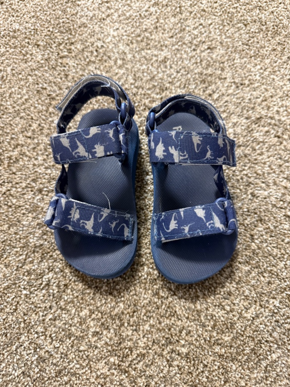 fabkids Navy Blue Kids Sandals with Dinosaur Print